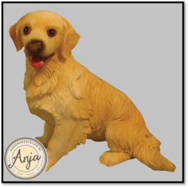 DA002 Golden Retriever