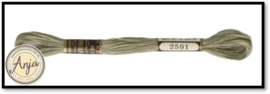 Venus 2591