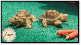 9215 Twee schildpadden