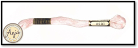 Venus 2231
