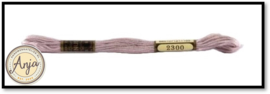 Venus 2300
