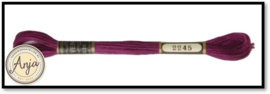 Venus 2245