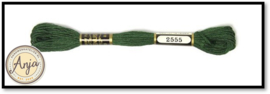 Venus 2555
