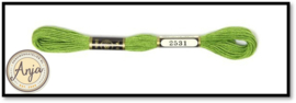Venus 2531