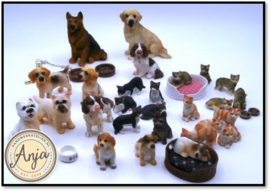 Dieren & accessoires