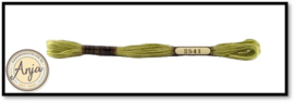 Venus 2541