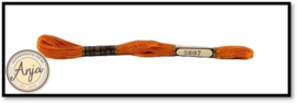 Venus 2697