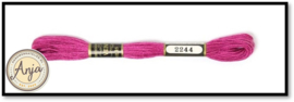 Venus 2244