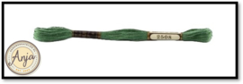 Venus 2508