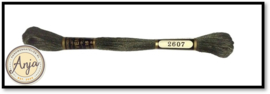 Venus 2607