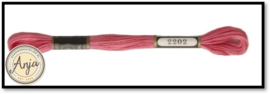 Venus 2202