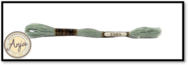 Venus 2505