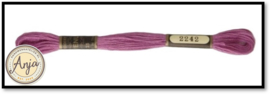 Venus 2242