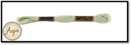 Venus 2520