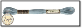 Venus 2480