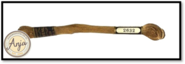 Venus 2632