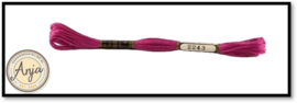Venus 2243
