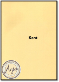 Kant - Santina M Levey