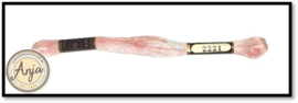 Venus 2221