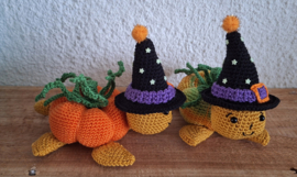 Crochet Pattern PDF Pumpkin Turtle Witch