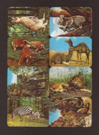 Kruger 99/27 Wilde dieren poezieplaatjes