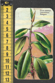 Côte d'Or Poezieplaatje: Nr 141: Rekgom (tekst voor)