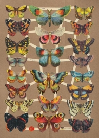 Dagpauwoog met andere vlinders poezieplaatjes 7426