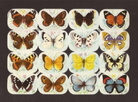 Kruger 98/140 Vlinders poezieplaatjes