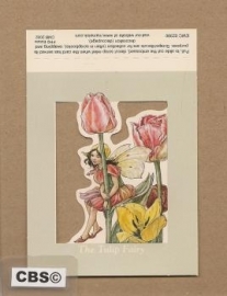 Poezieplaatje The Tulip Fairy Cicely Mary Barker 390