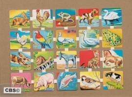 Maves Mini Dieren 207 Spaanse poezieplaatjes