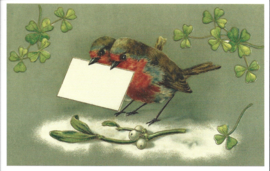 Roodborst paar bezorgd brief prentbriefkaart  {W203}