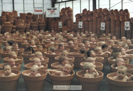Anne Geddes kaart nr. A040:  Bloem pot mensen