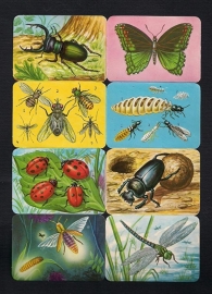 Kruger 99/31 Insecten poezieplaatjes