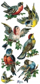 Zangvogels poezieplaatjes Stickers C52