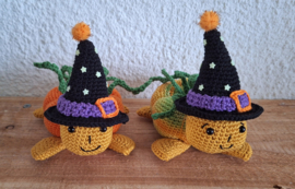 Crochet Pattern PDF Pumpkin Turtle Witch