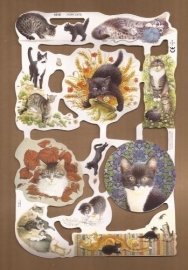 Ivory Cats poezieplaatjes MLP 1816
