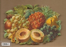 Fruit met Ananas poezieplaatjes 5061