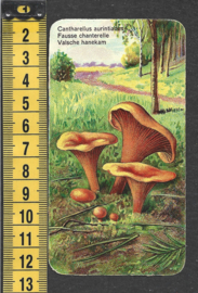 Côte d'Or Poezieplaatje: Nr 76: Valsche hanekam (tekst voor)