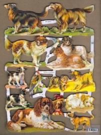 Honden poëzieplaatjes 7163