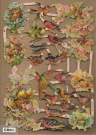 Vogels in bloesem bij nest poezieplaatjes GL7212