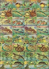 Mokta Williot Trade Cards Vissen & Reptielen poezieplaatjes 1452