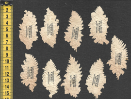 Bloemen takjes (9) - Vitello - antieke poezieplaatjes (758)