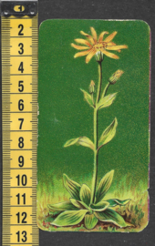 Côte d'Or Poezieplaatje: Nr 1: Arnica Montana (tekst achter)