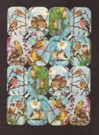 Kruger 98/137 Vogel poezieplaatjes