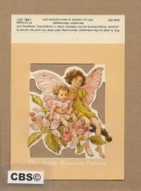 Poezieplaatje The Apple Blossom Fairies Cicely Barker 357