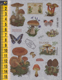 Stickers nostalgie Paddenstoelen mat plastic - WH1070