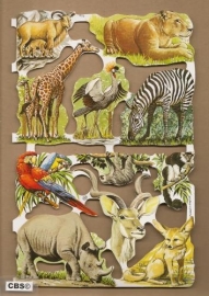 Wilde dieren & Neushoorn poezieplaatjes MLP 1572