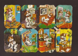 Kruger 98/91 Het leven van een hond poezieplaatjes