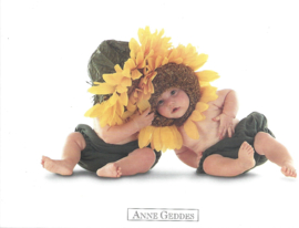 Anne Geddes kaart nr. A204: Zonnebloemen #3