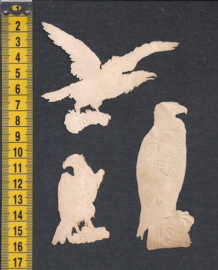Roofvogels (3) antieke poezieplaatjes (658)